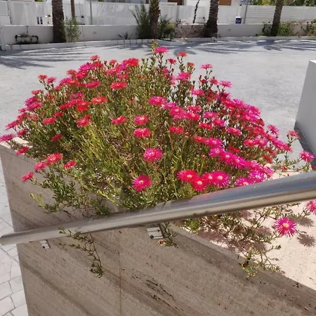 Captain Pier Отель Протарас