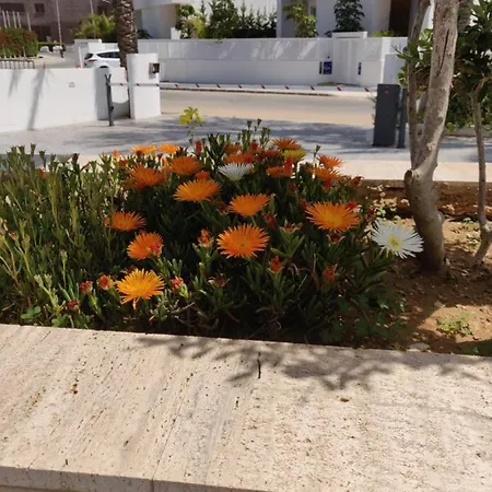 Captain Pier 3* Protaras