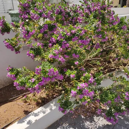 Hotel Captain Pier Protaras