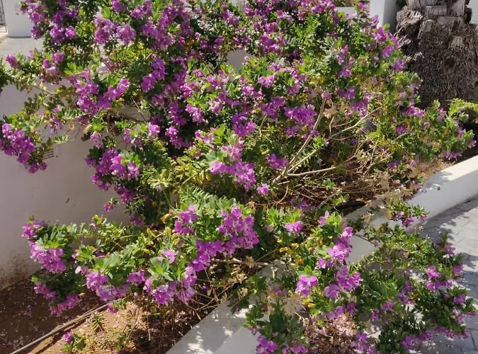 Captain Pier Szálloda