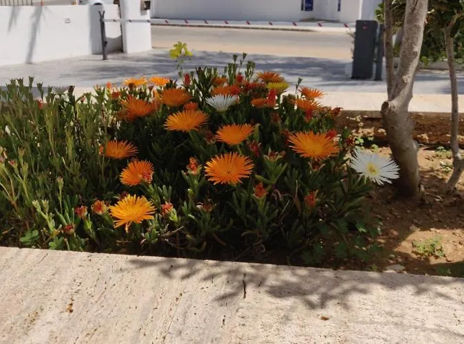 Captain Pier 3* Protarász