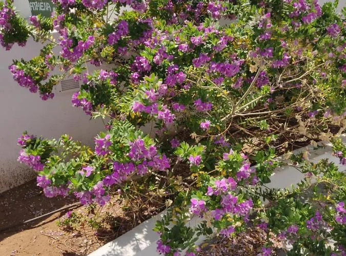 Hotel Captain Pier Protaras