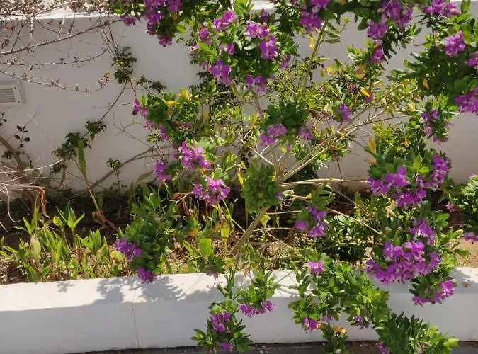 Captain Pier 3* Protaras